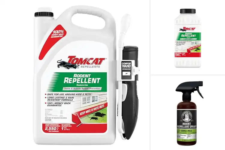 Detailed view of Best Mouse Prevention Products