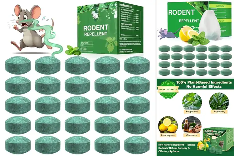 Detailed view of Best Mouse Repellents