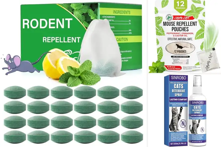 Detailed view of Best Natural Deterrents