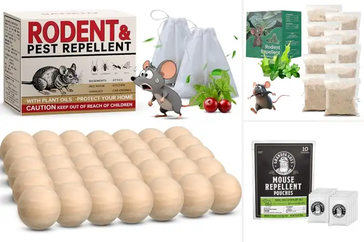 Detailed view of Best Natural Mouse Deterrents