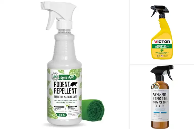 Detailed view of Best Natural Non Toxic Rodent Repellent