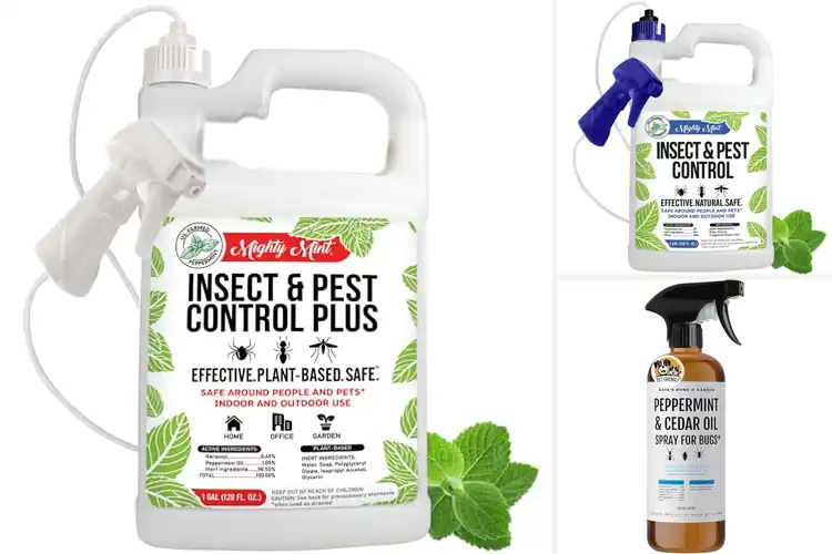 Detailed view of Best Natural Pest Controls