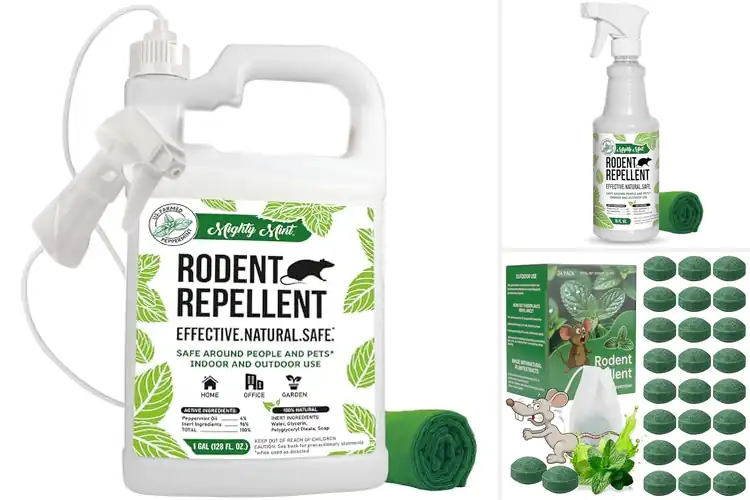 Detailed view of Best Natural Rat Repellents: Keep Rodents Away