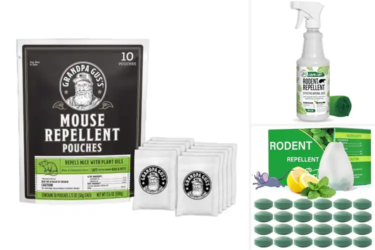 Detailed view of Best Natural Rodent Deterrents: Safe, Humane Home Protection