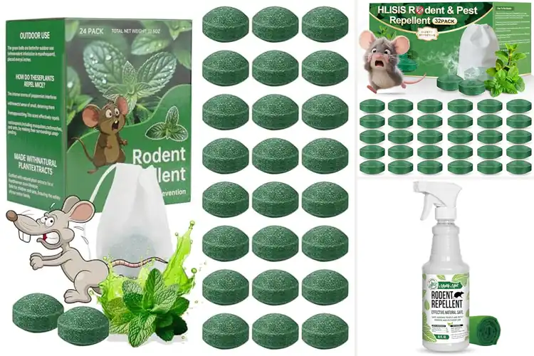 Detailed view of Best Natural Rodent Repellents