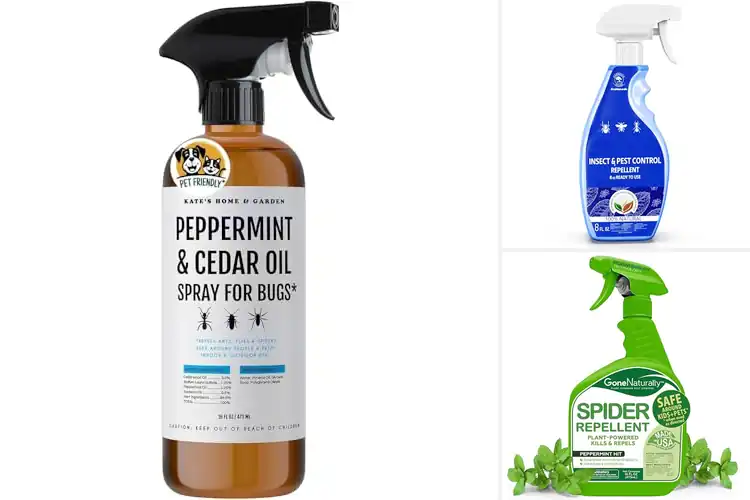 Detailed view of Best Non-Toxic Pest Solutions