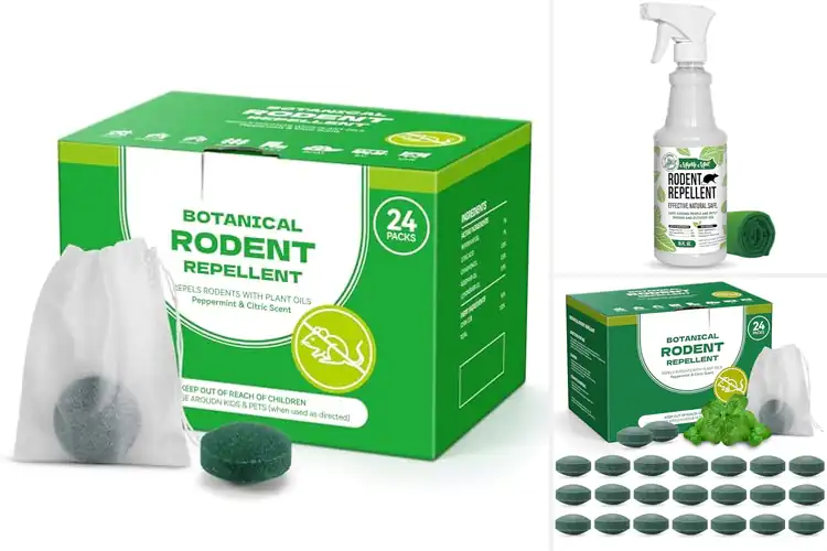 Detailed view of Best Non Toxic Plant Based Mice Repellent