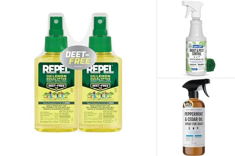Detailed view of Best Non-Toxic Repellents: 10 Safe & Effective Bug Solutions