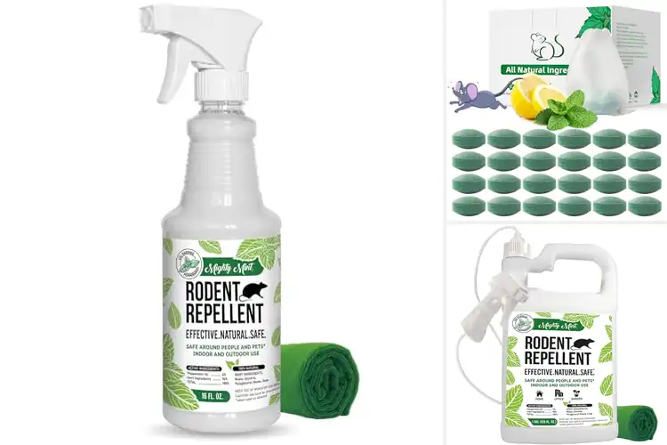 Detailed view of Best Non Toxic Rodent Repellent
