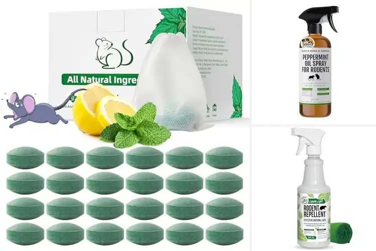 Detailed view of Best Non-Toxic Rodent Repellents