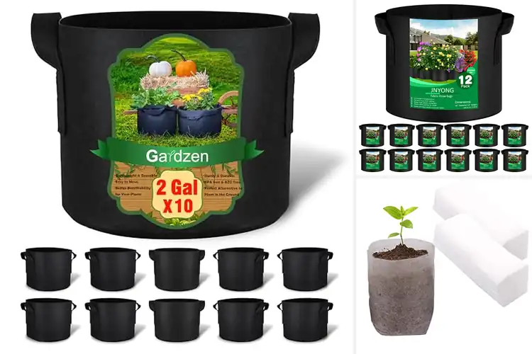 Detailed view of Best Non-Woven Fabric Grow Bags
