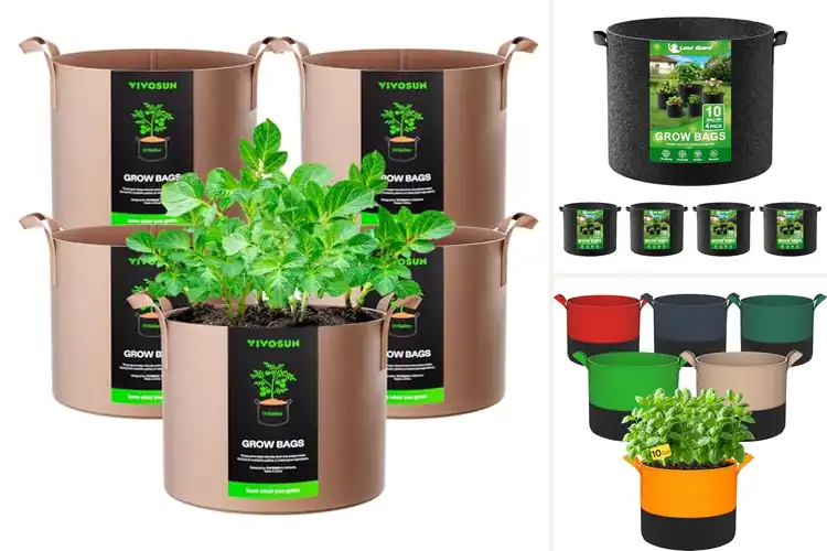 Detailed view of Best Nonwoven Fabric Grow Bags