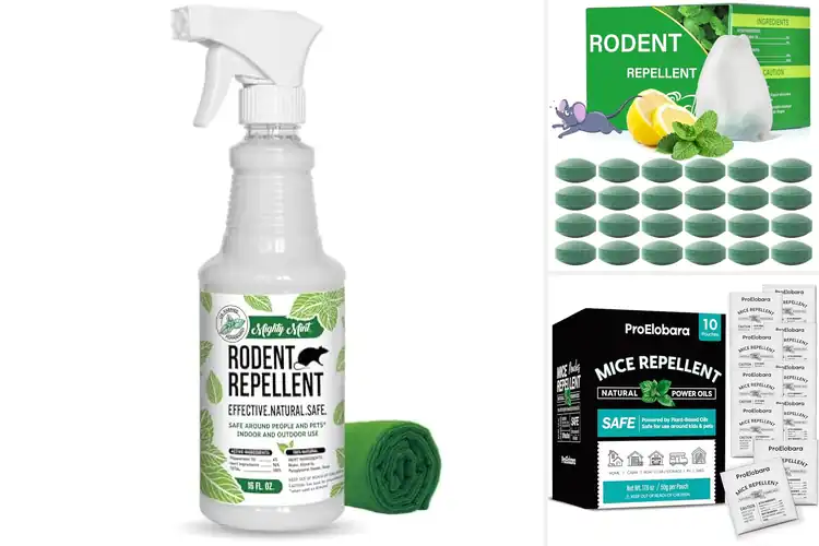 Detailed view of Best Organic Rat Repellent Products