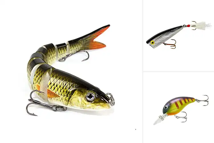 Detailed view of Best Outdoor Lifestyle Lures: Catch More With Every Cast