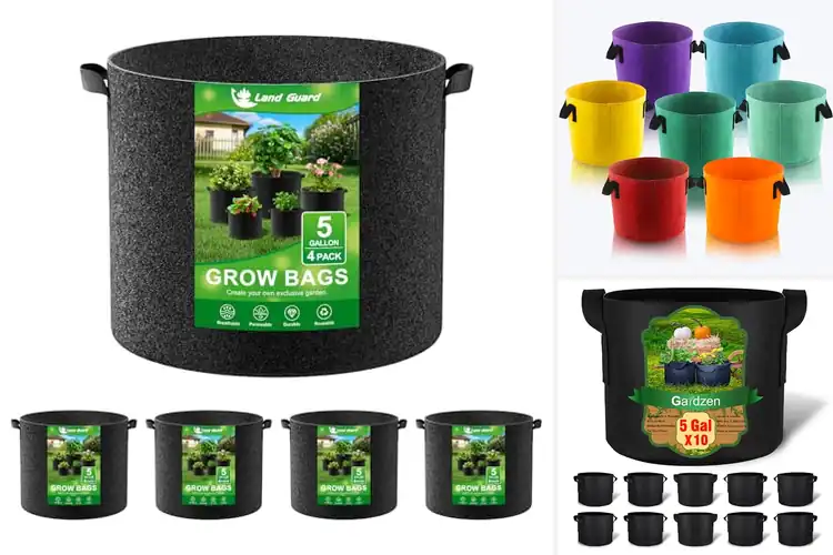 Detailed view of Best Outdoor Plant Bags