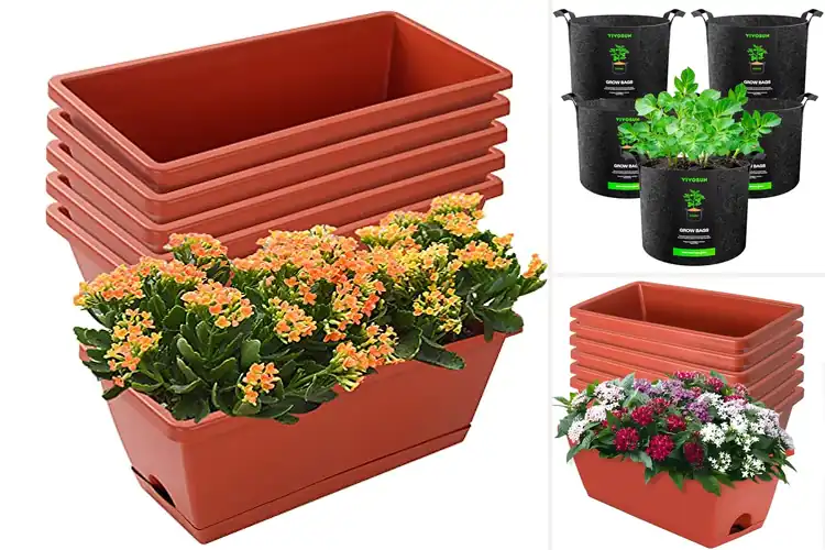 Detailed view of Best Outdoor Plant Containers