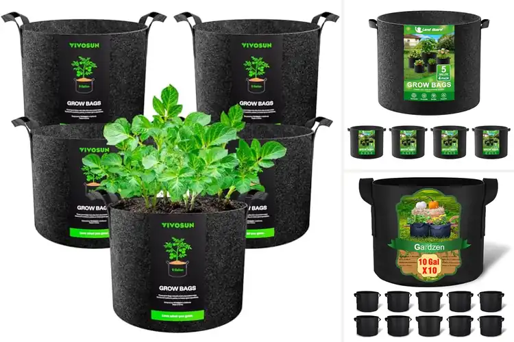 Detailed view of Best Outdoor Plant Grow Bags