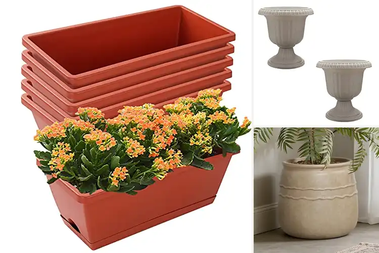 Detailed view of Best Outdoor Planters