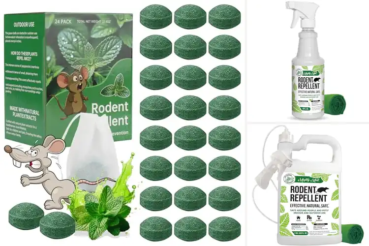 Detailed view of Best Peppermint Mouse Repellent