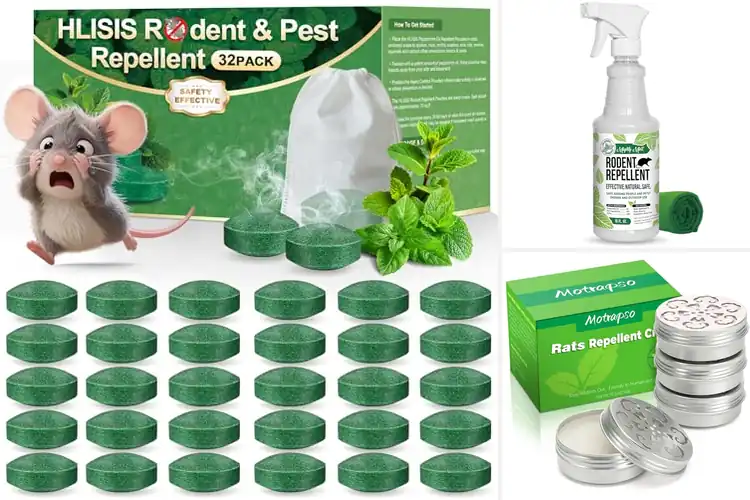 Detailed view of Best Peppermint Mouse Repellents