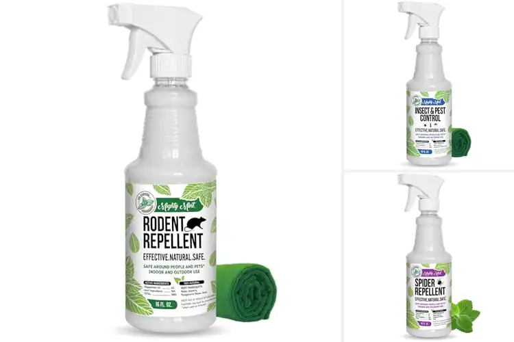 Detailed view of Best Peppermint Oil Based Repellent