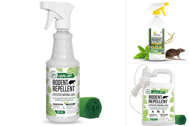 Detailed view of Best Peppermint Oil Based Rodent Deterrents