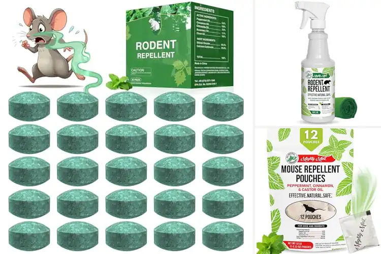 Detailed view of Best Peppermint Oil Mouse Repellents