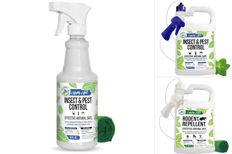 Detailed view of Best Peppermint Oil Repellent