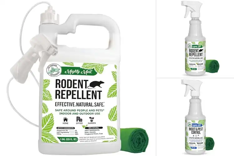 Detailed view of Best Peppermint Oil Repellents