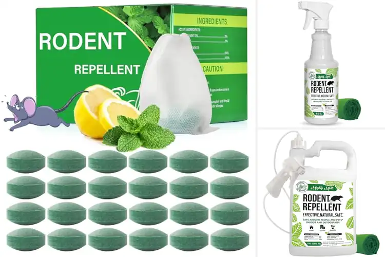 Detailed view of Best peppermint oil rodent repellents