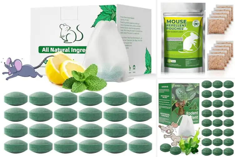 Detailed view of Best Peppermint Rat Deterrents