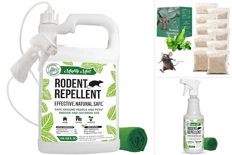 Detailed view of Best Peppermint Rat Repellents