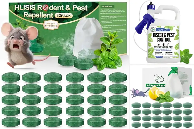 Detailed view of Best Peppermint Repellents: Top 10 Natural Pest Solutions