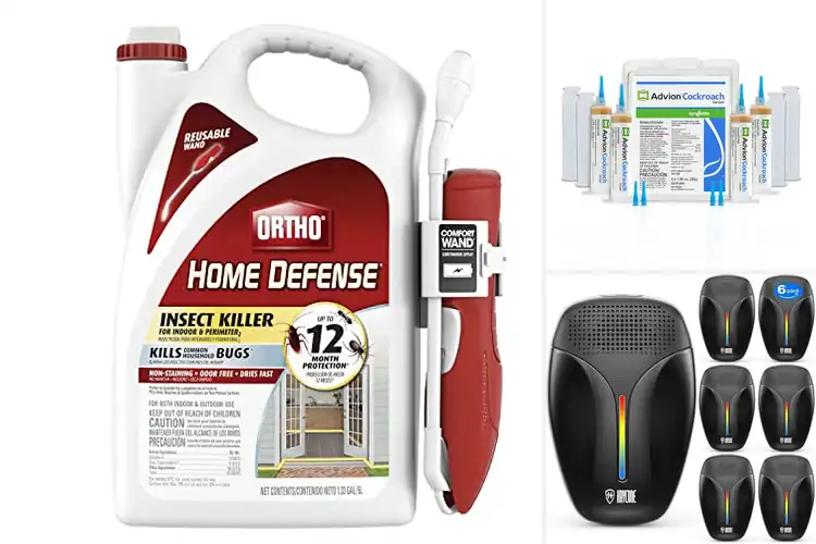 Detailed view of Best Pest Control Products