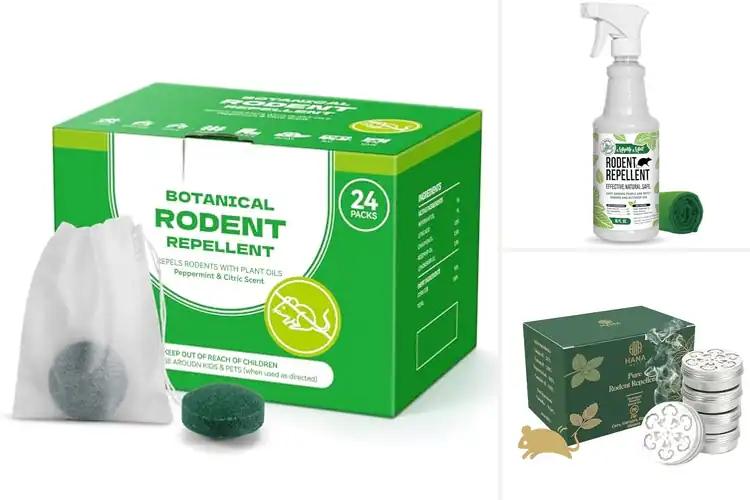 Detailed view of Best Plant-Based Mouse Repellents