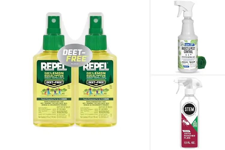 Detailed view of Best Plant-Based Repellents