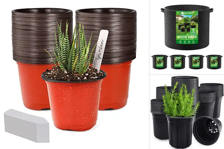 Detailed view of Best Plant Containers: Top 10 Picks for Greener Thumbs
