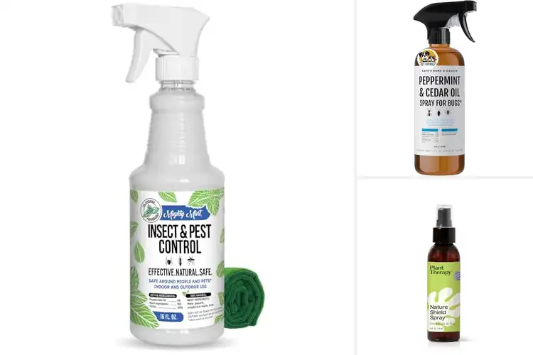 Detailed view of Best Plant Essential Oil Repellents