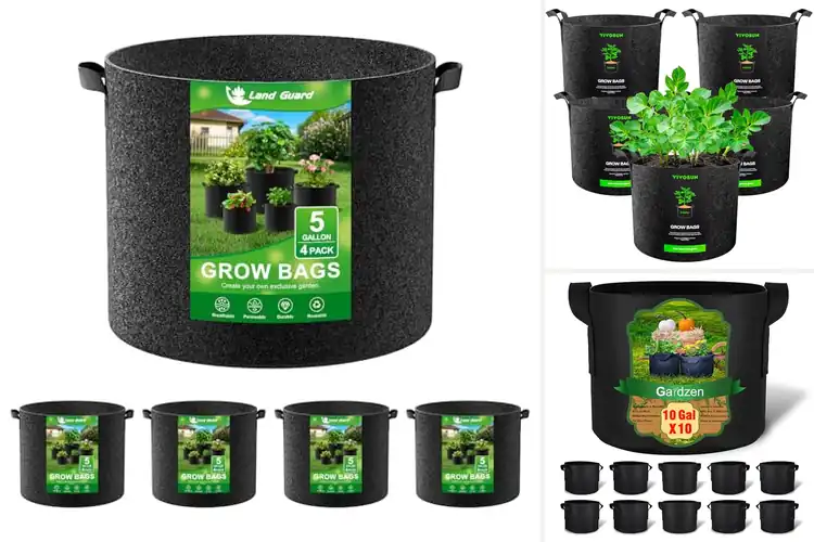 Detailed view of Best Plant Grow Bags: Top 10 Picks for Thriving Gardens