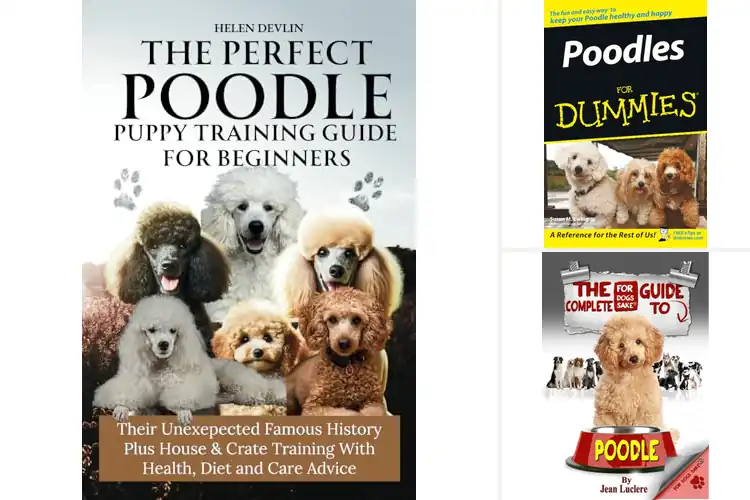 Detailed view of Best Poodle Training Guides