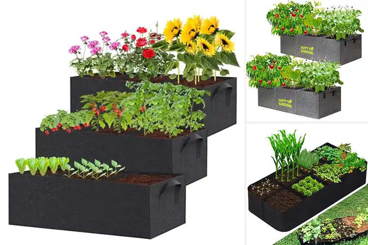 Detailed view of Best Portable Grow Bags For Outdoor