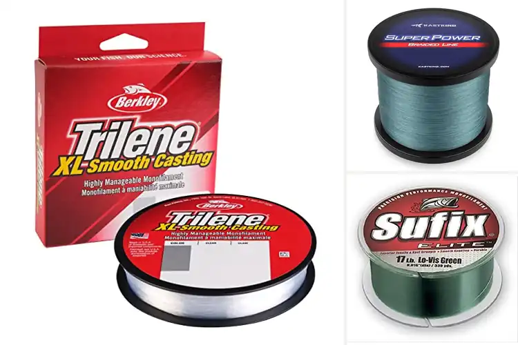 Detailed view of Best Precision Fishing Lines