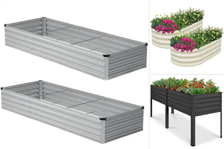 Detailed view of Best Raised Beds: Top 10 Picks for a Thriving Garden