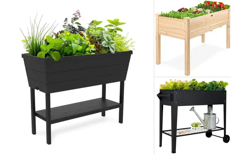 Detailed view of Best Raised Garden Planters: 10 Top Picks for Easy Gardening