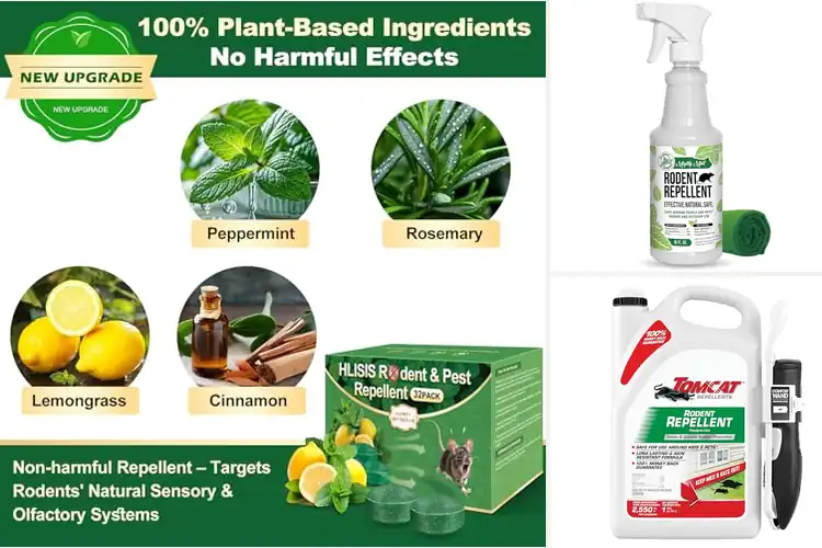 Detailed view of Best Rat Repellent Solutions