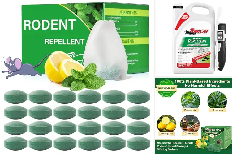 Detailed view of Best Rat Repellents