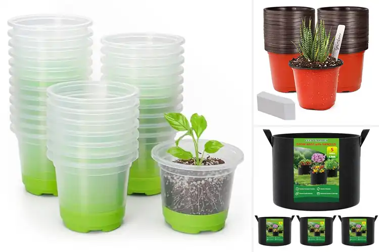 Detailed view of Best Reusable Planters