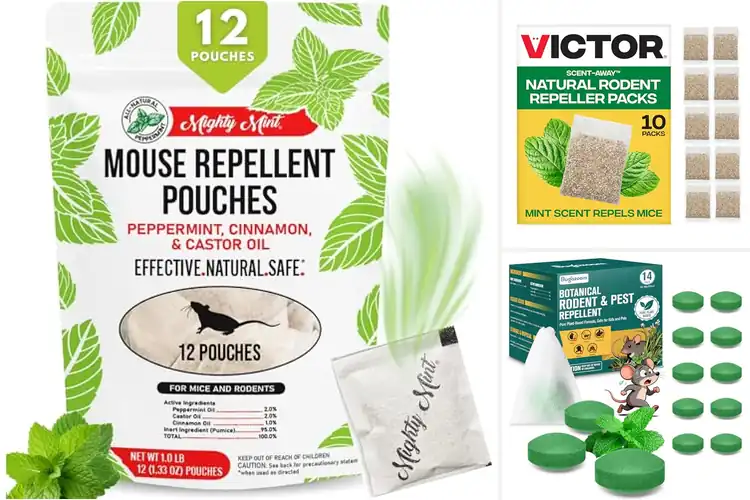Detailed view of Best Rodent Deterrent Scent: Top 10 Natural Solutions