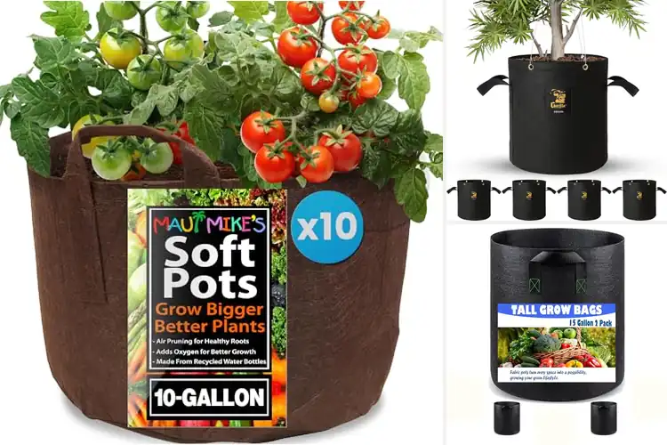 Detailed view of Best Root Health Grow Bags: Boost Airflow & Prevent Root Rot