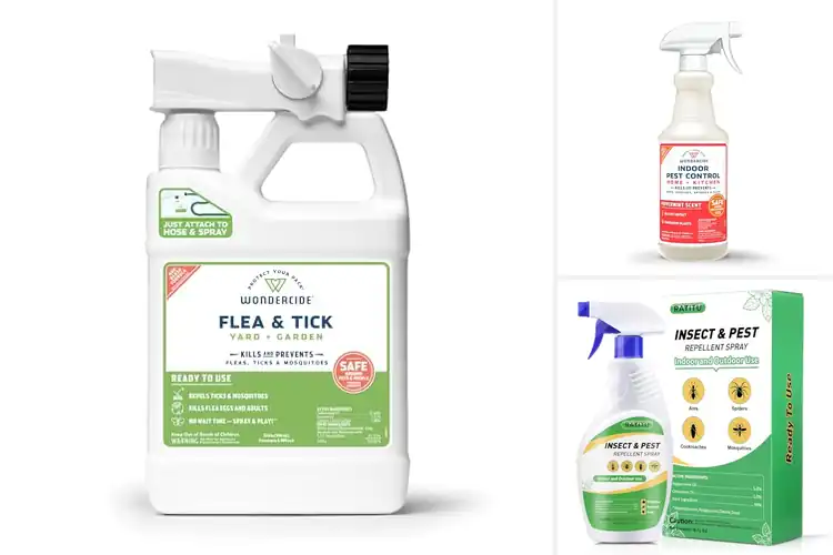 Detailed view of Best Safe For Humans Pets And Plants